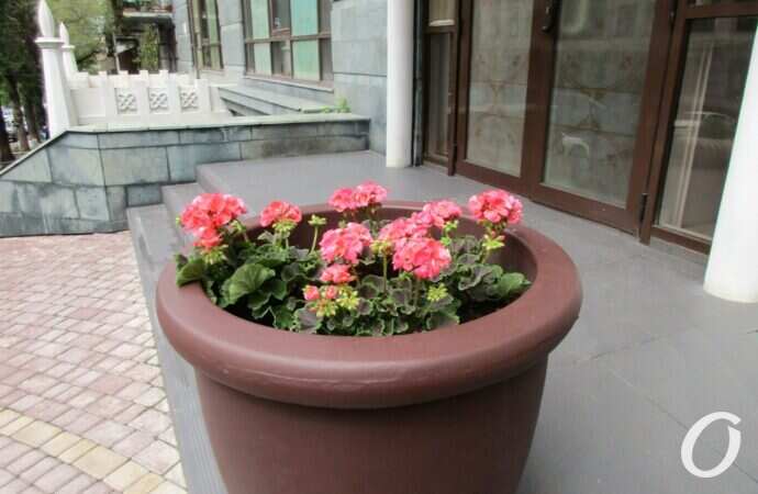 Военный спуск, уличная ваза