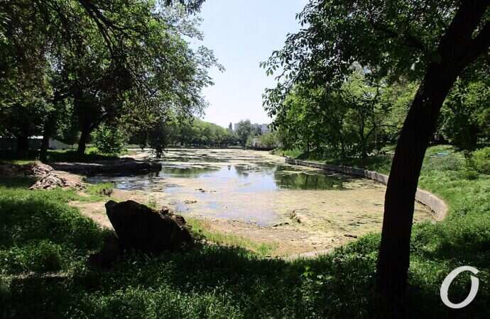 Дюковский парк, большой пруд