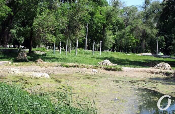 Дюковский парк, большой пруд3