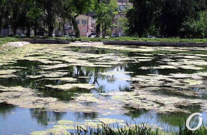 Дюковский парк, большой пруд4