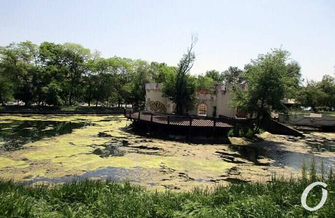 Дюковский парк, большой п7руд