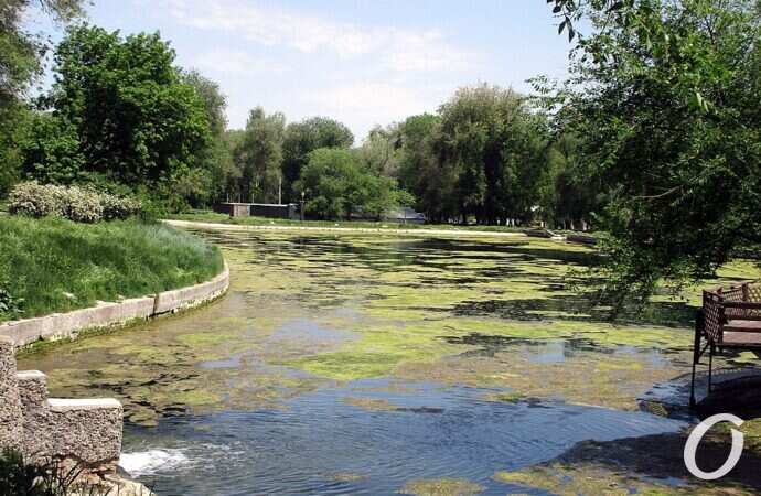 Дюковский парк, большой пруд9