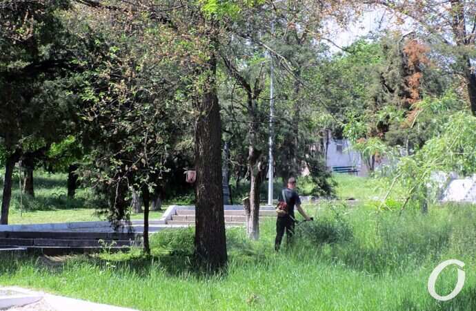 Дюковский парк2