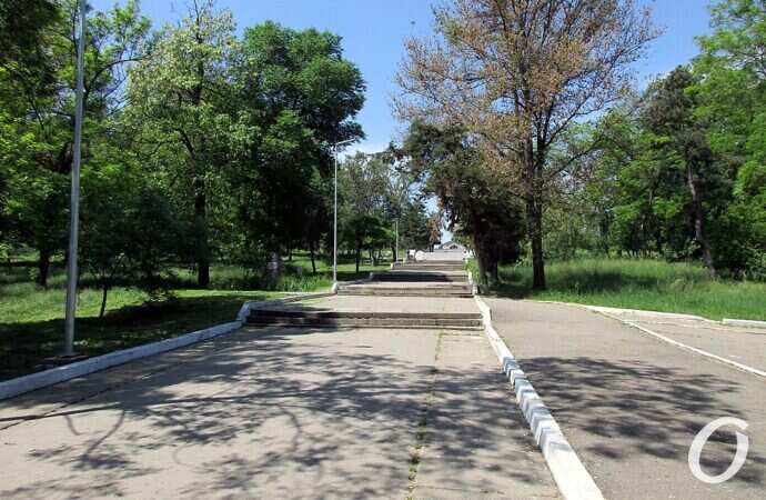 Дюковский парк3