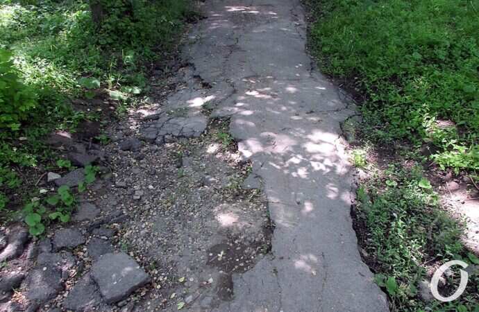 Дюковский парк4