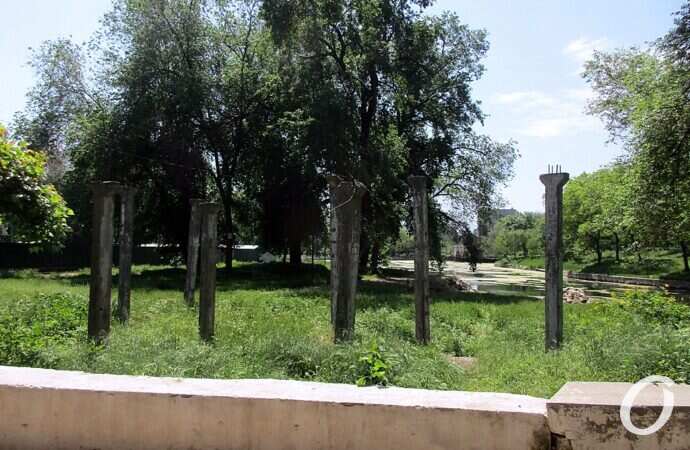 Дюковский парк5