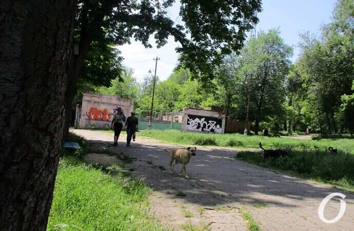 Дюковский парк7