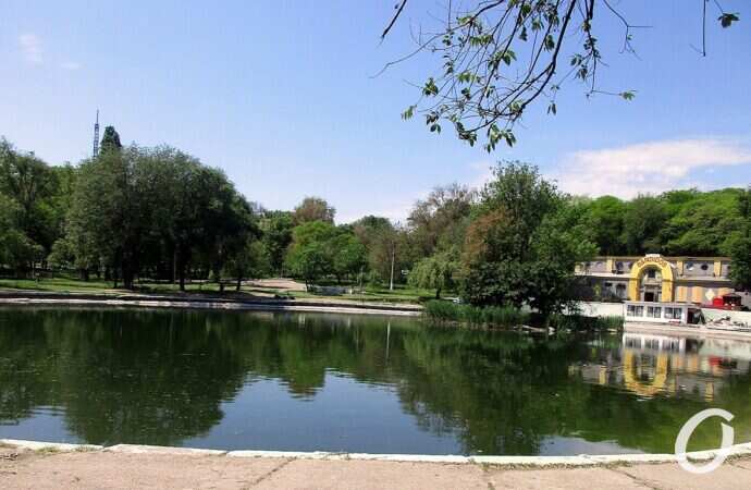 Дюковский парк, малый пруд2