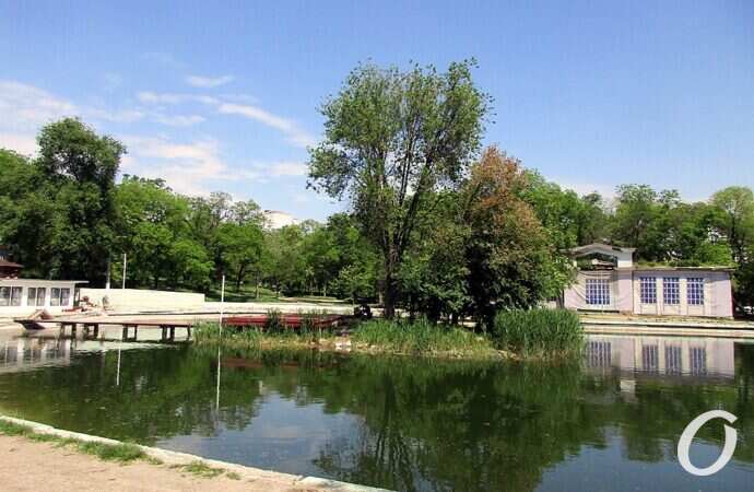 Дюковский парк, малый пруд8