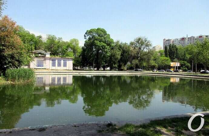 Дюковский парк, малый пруд9