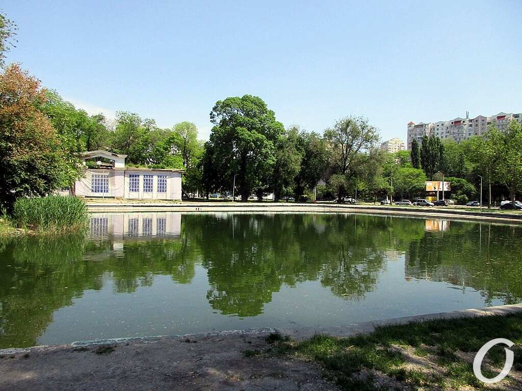 Дюковский парк, малый пруд9
