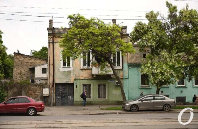 Одесская акация18