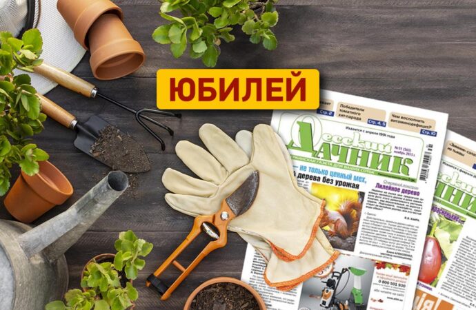 Юбилей газеты «Одесский дачник»: 30 лет на ваших сотках