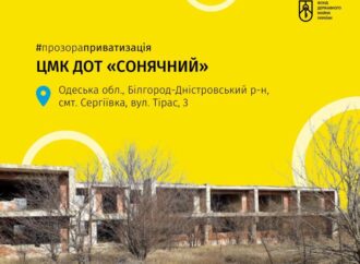 В Одесской области продадут на аукционе детский лагерь
