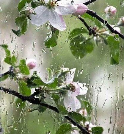Погода в Одесі: чи чекати на дощ у п’ятницю, 22 квітня?