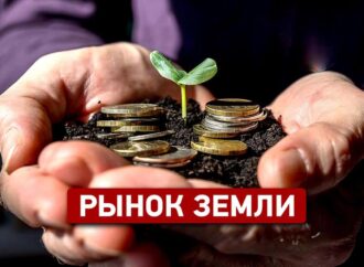 6 вопросов о купле-продаже сельхозземли с 1 июля