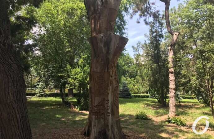 На одесском пляже обрубок ствола дерева с помощью резьбы превратили в сказочный арт-объект.