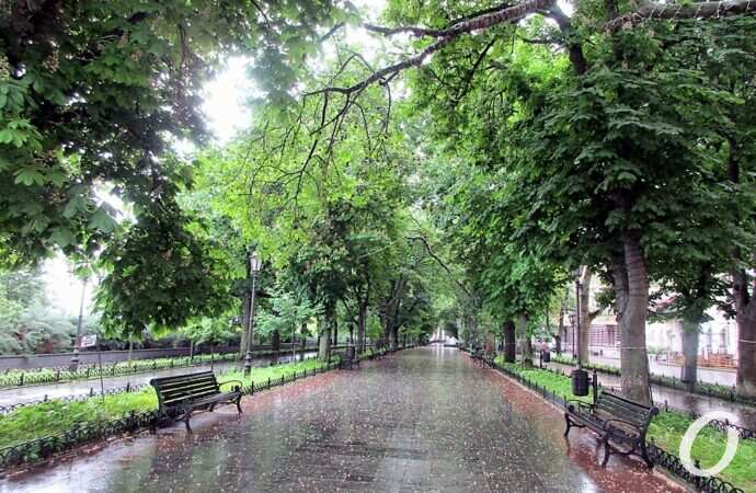 Приморский бульвар в июне5