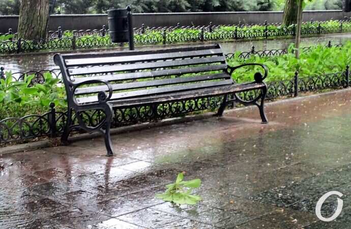 Приморский бульвар в июне, скамейка2