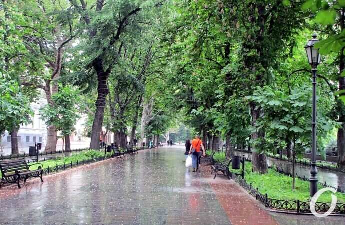 Приморский бульвар в июне6