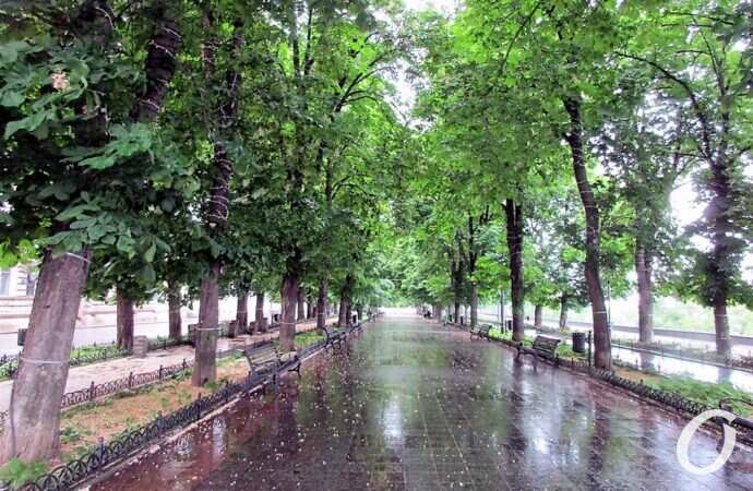 Приморский бульвар в июне2