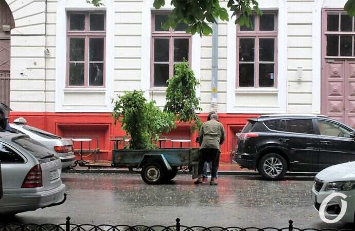 Приморский бульвар в июне, прицеп