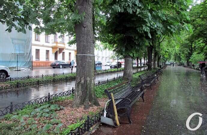 Приморский бульвар в июне7