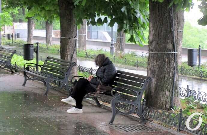 Приморский бульвар в июне, скамейка