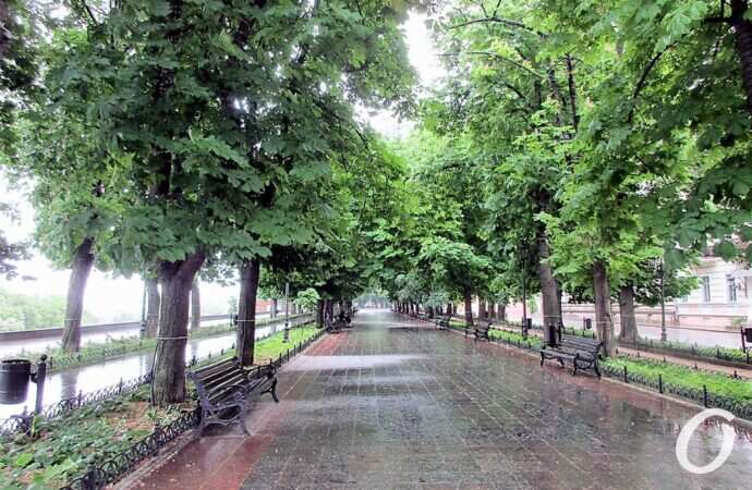 Приморский бульвар в июне4