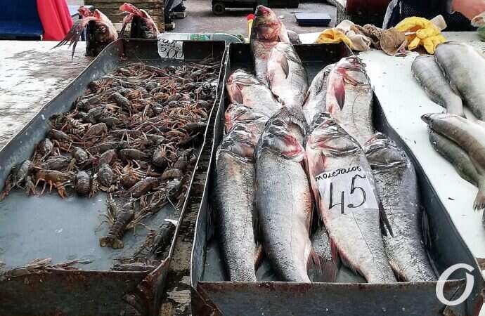 Привоз, рыба, толстолоб