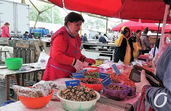 Привоз, мидии