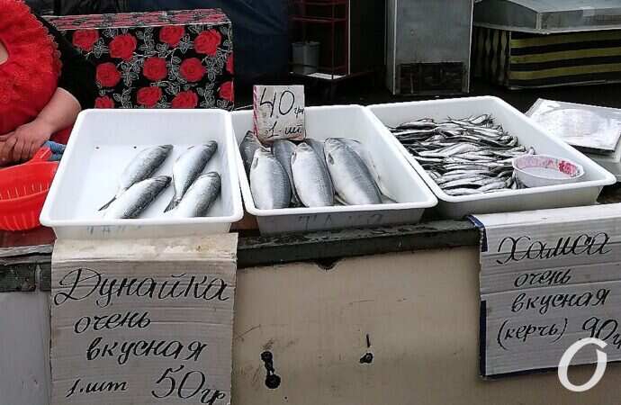 Привоз, рыба, хамса