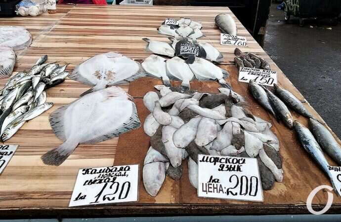 Привоз, рыба, морской язык