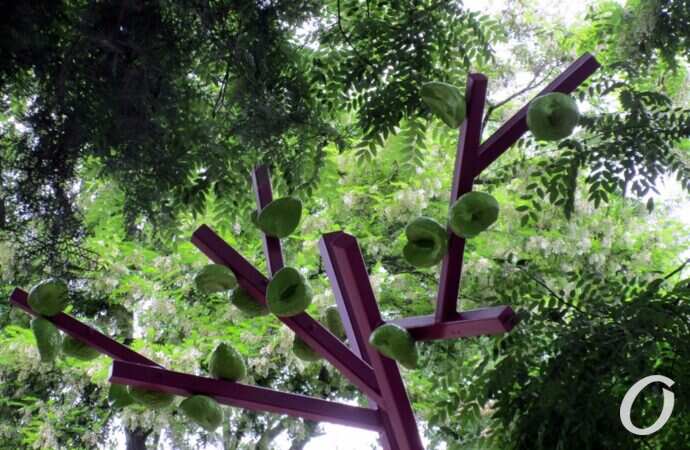 Греческий парк, Сад жизни7