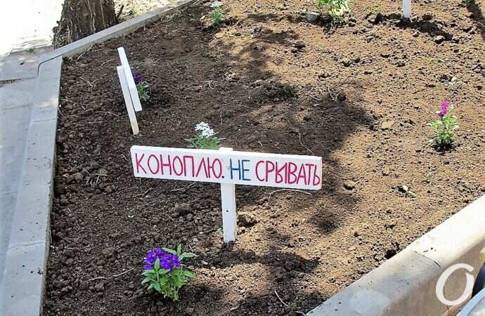 одесское кафе