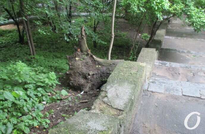 Курсантская лестница10