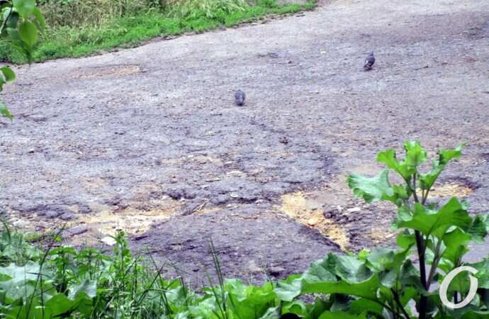 лестница на Градоначальницкой10