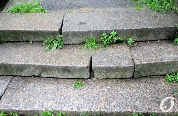 лестница на Градоначальницкой17