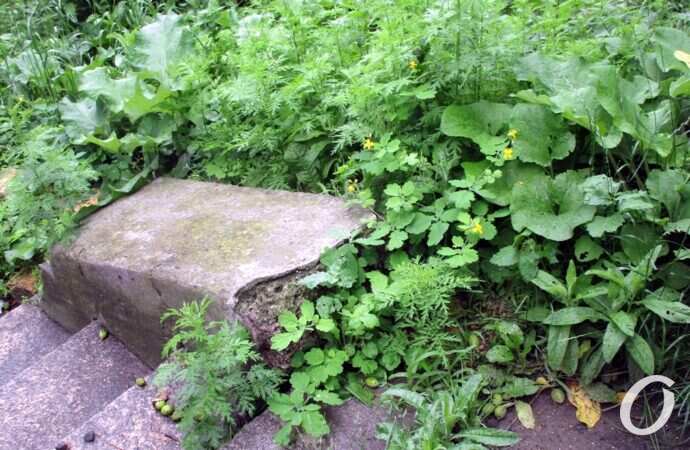 лестница на Градоначальницкой9