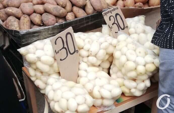 Привоз, лук-чеснок