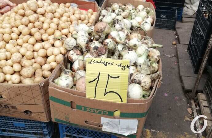 Привоз, молодой лук