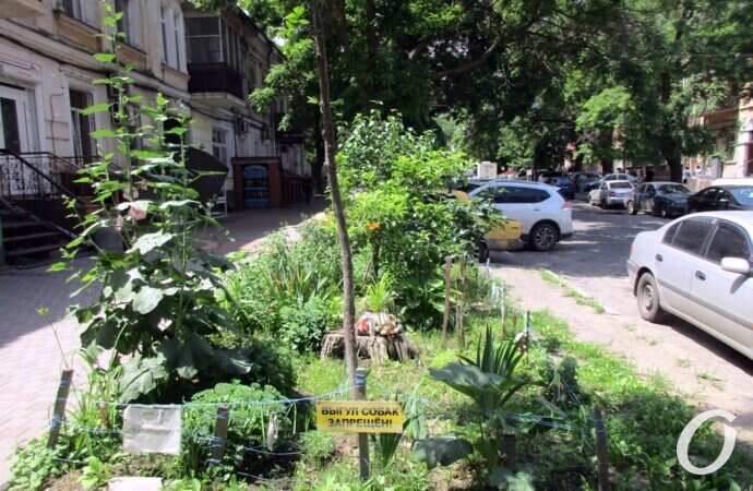 оазис на Еврейской