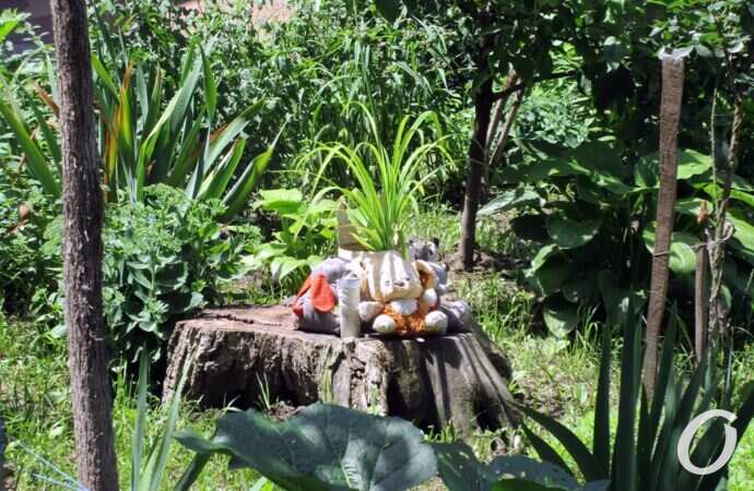 оазис на Еврейской2