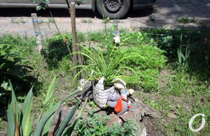 оазис на Еврейской3