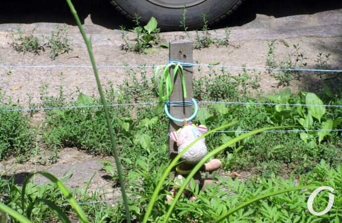 оазис на Еврейской4