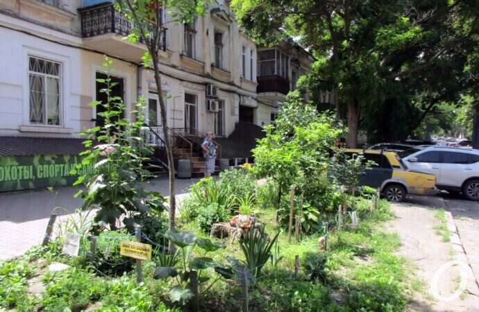 оазис на Еврейской5