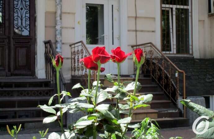 оазис на Еврейской6