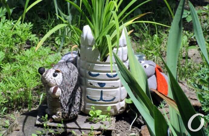 оазис на Еврейской8