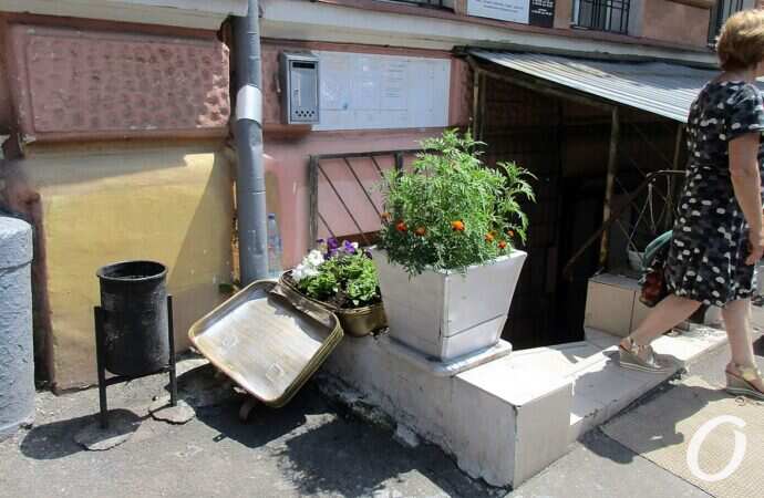 июнь в Одессе, цветник-чемодан