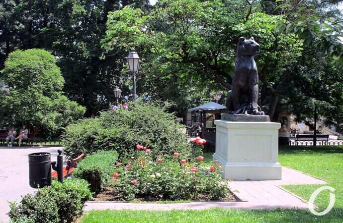 июнь в Одессе, Львица